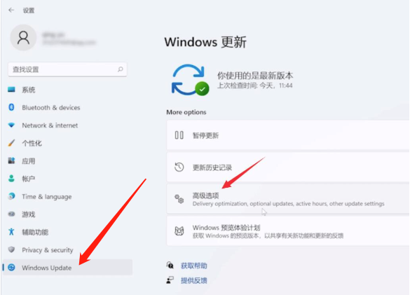 win11ϵy(tng)ô֏(f)SO(sh)win11X֏(f)SO(sh)ò̳