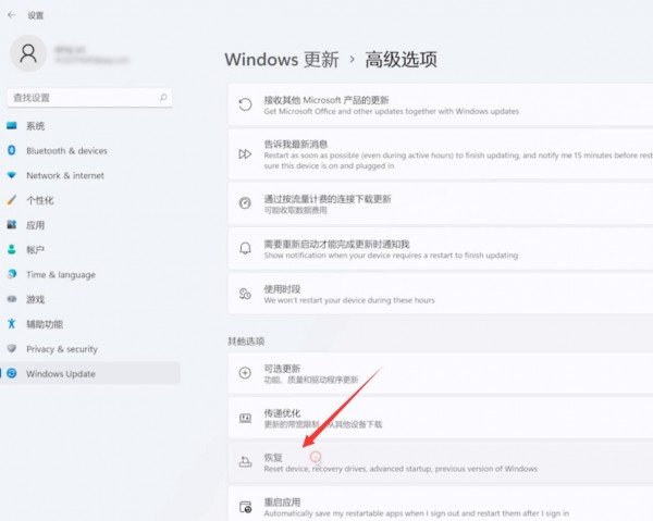 win11ϵy(tng)ô֏(f)SO(sh)win11X֏(f)SO(sh)ò̳