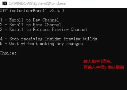 X؎̖(ho)ʹWindows 11 Insiderķ