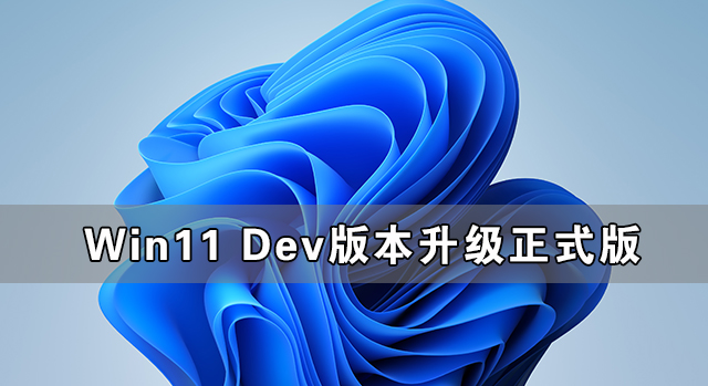 Win11Dev汾(j)ʽ