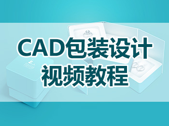 CAD包裝設計視頻教程_軟件自學網(wǎng)