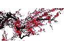 ЇLʢ_÷D