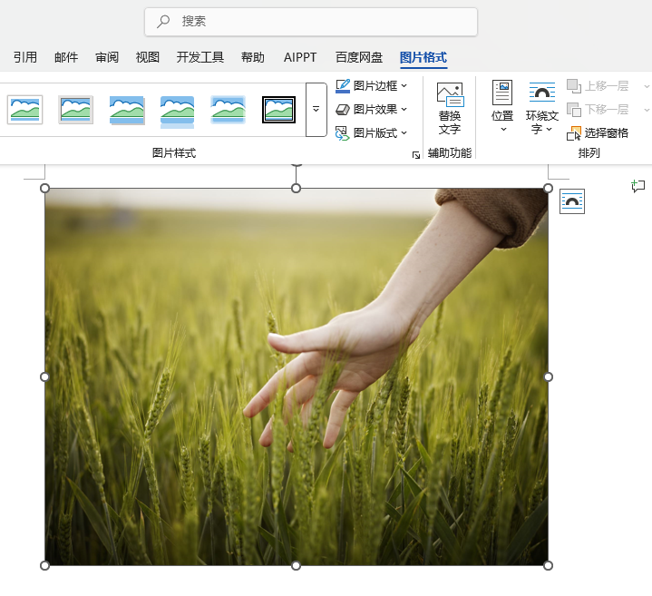 Word2024Ԅ(dng)43M(jn)вüWord202443M(jn)вüķ1