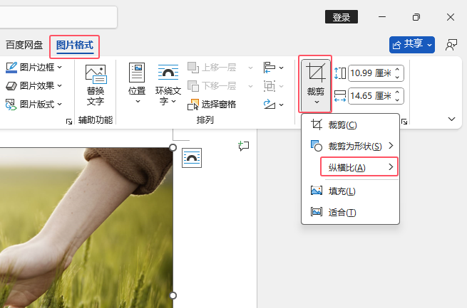 Word2024Ԅ(dng)43M(jn)вüWord202443M(jn)вüķ2