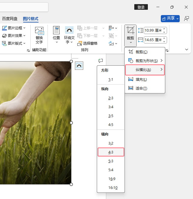 Word2024Ԅ(dng)43M(jn)вüWord202443M(jn)вüķ3