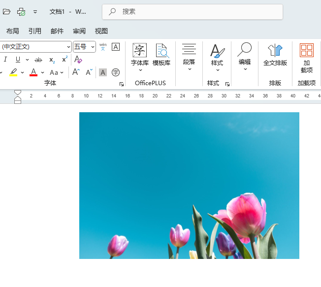 Word2024еĈDƬO(sh)UPҶˇg(sh)Ч1