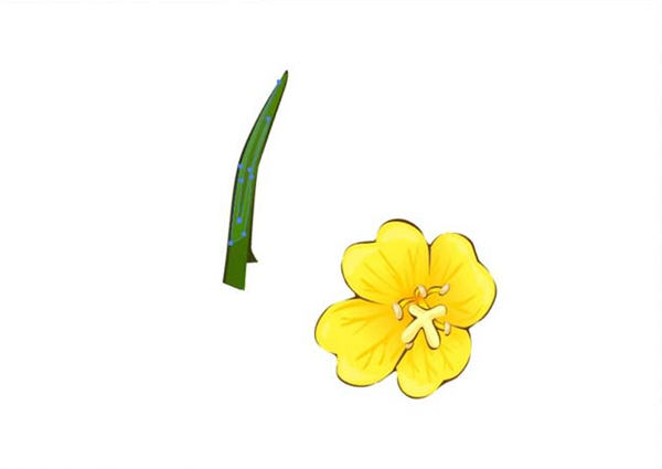 aiô(hu)ҹ(li)زĵ6