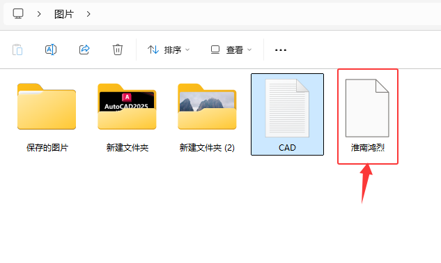 CoreIDRAW2024ęnΌ(do)CPTʽļ