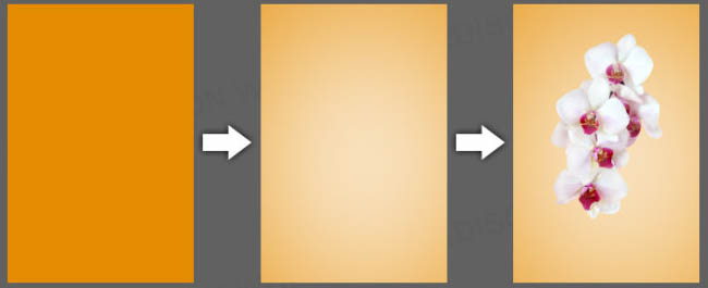 Photoshopϳţ̺r(sh)_ܛԌW(xu)W(wng)