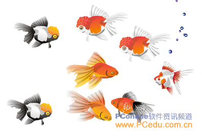 CorelDRAWX5立體包裝盒實例教程 _軟件自學網(wǎng)
