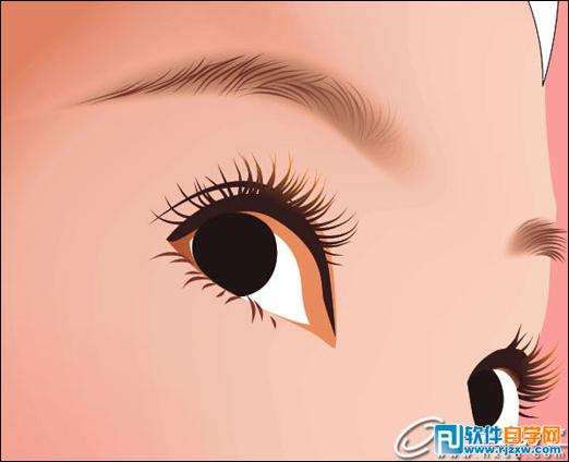 CoreldrawX7打造古典美女教程_軟件自學(xué)網(wǎng)