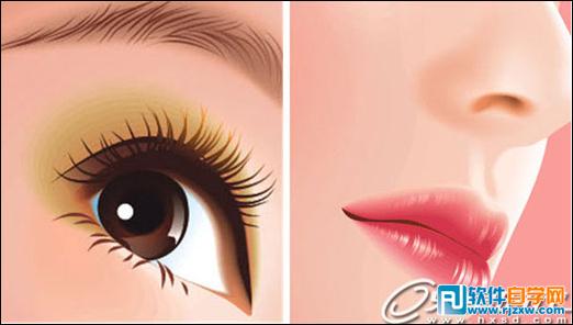 CoreldrawX7打造古典美女教程_軟件自學(xué)網(wǎng)