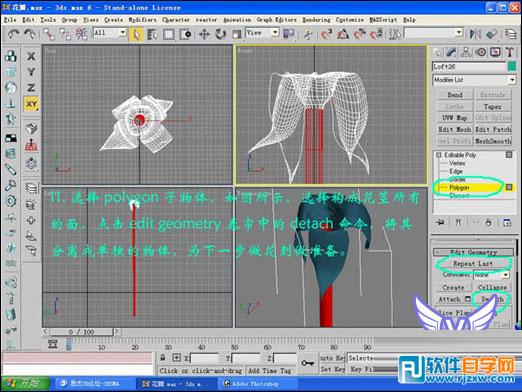 3dmax玫瑰花模型 制作講解-2