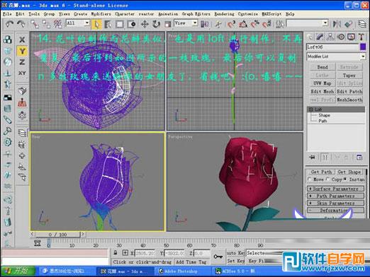 3dmax玫瑰花模型 制作講解-6