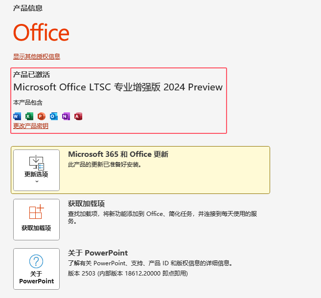 鿴PowerPoint2024ܛǷ񱻼ɹ