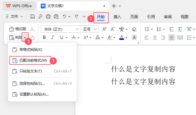 WPS Office\(yn)ճNƥ䮔(dng)ǰʽճN(ni)