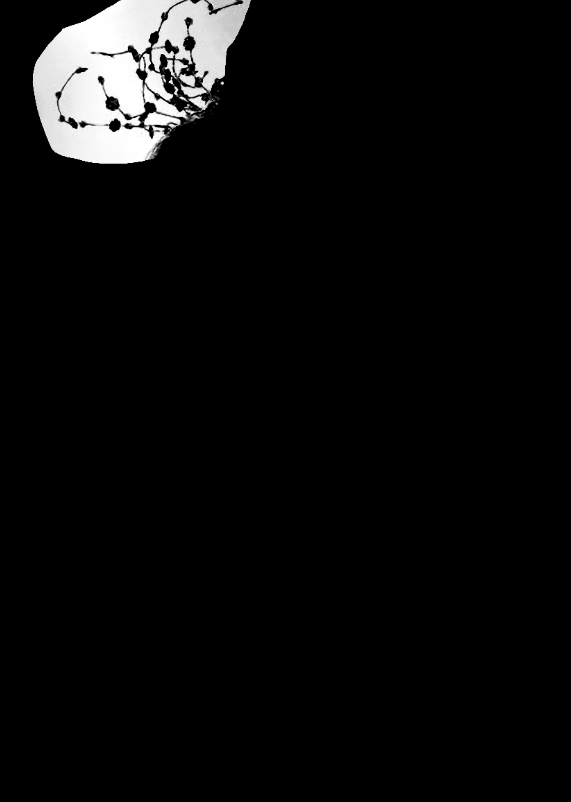 PS^ЏsbŮģص10