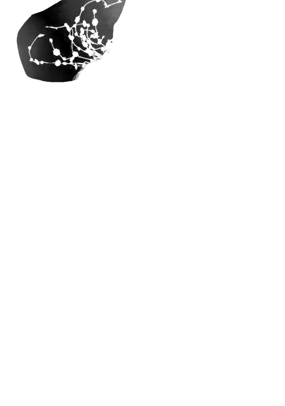 PS^ЏsbŮģص12