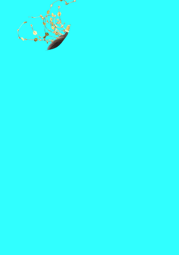 PS^ЏsbŮģص15