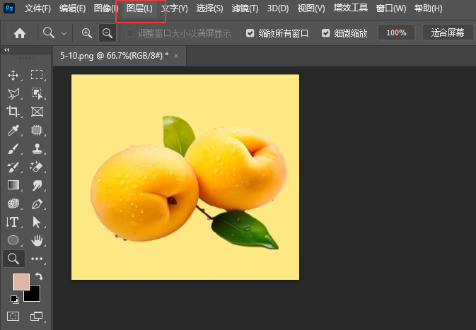 photoshop2024½Dôʹ